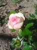 Photo0104