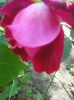 Photo0107