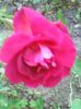 Photo0111