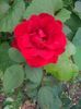 IMG_20150711_172326