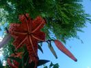 IMG_20150711_172116
