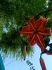 IMG_20150711_172044