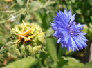 P7080063