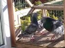 CAM00189