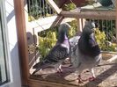 CAM00190