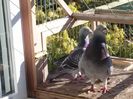 CAM00200