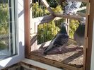 CAM00218