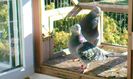CAM00282
