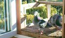 CAM00286