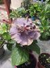 20150630_133724
