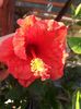 20150625_174749