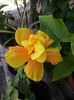 20150625_174701