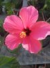20150625_174644