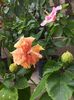 20150617_110121