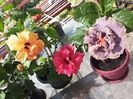 20150602_111907