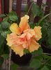 20150616_114455