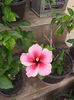 20150616_114451