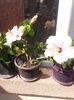 20150614_161303