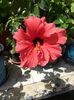 20150618_133137