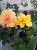 20150609_203225