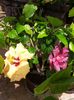 20150608_121104