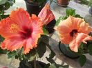 20150604_090515