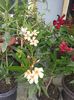 20150616_114541