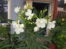 20150616_114527