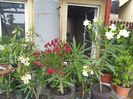 20150616_114523