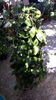 20150712_155102