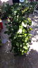 20150712_155021