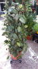 20150712_155001