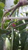 20150712_153152