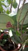 20150712_153201