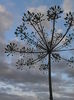 P7100439