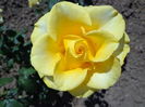DSC08665