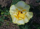 DSC08666