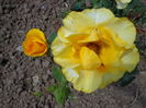 DSC08667