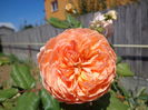 DSC08669