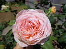 DSC08670