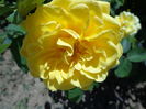 DSC08678