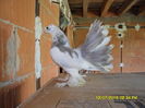SAM_3598