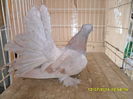 SAM_3624