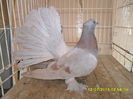 SAM_3625