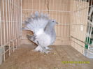 SAM_3635
