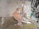SAM_3637