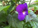 DSC04449