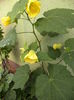 DSC04453
