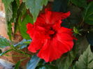 DSC02511