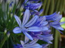 DSC02560